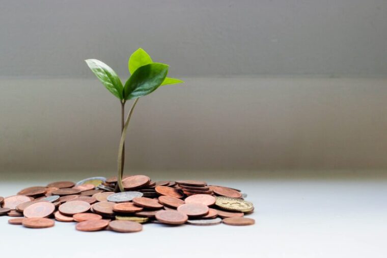 Plant sprouts from pennies